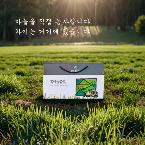 백세도움농장 흑마늘즙 진액 2.1L(70ml*30개)